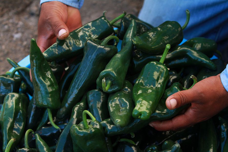 Picantes que Puebla
