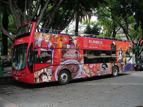 toribus