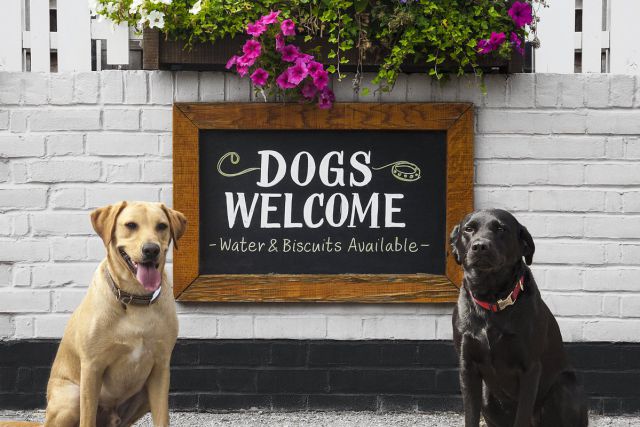 Pet Friendly