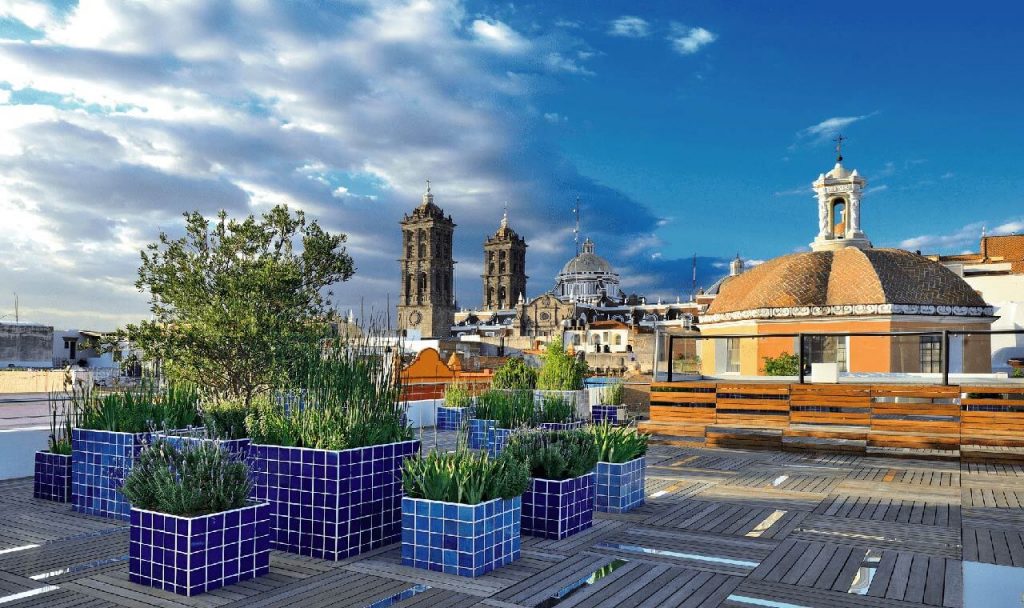 Terraza